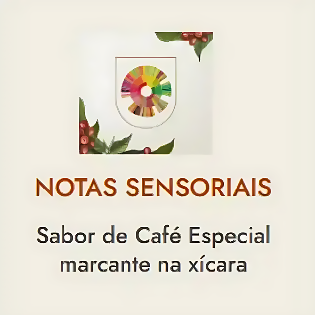 3 Corações Rituais Specialty 85+ Ground Coffee, Chocolate Aroma - 100% Arabica - 250g (8.8 oz)