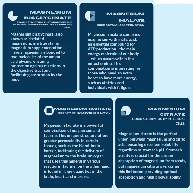 Essential Nutrition [Mg] Complex – Magnesium Blend Capsules, 350mg per Serving – 90 Capsules