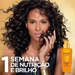 Elseve L'Oréal Paris Extraordinary Oil Hair Treatment Oil, 3.4 oz (100 ml)