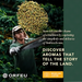 4 Packs ORFEU Special Coffee Yellow Bourbon - 100% Arabica Coffee - Medium-Light Roast - Ground Roasted - Aroma of Citrus Fruits - Accentuated Acidity - 250g / 8.8oz