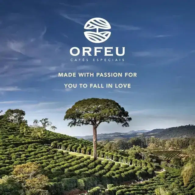 Orfeu Special Coffee, beloved coffee,  – Buy now at MKPBR.COM – Worldwide Shipping