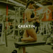 BLÄYVA Creatine Muscle Gain: Strong individual in a gym setting, reflecting the muscle growth and strength benefits of the 250g powder – Buy now at MKPBR.COM – Worldwide Shipping