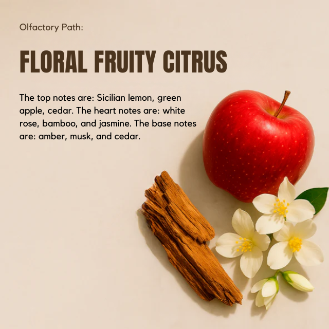 Bloom Body Blue Mist Body Splash Body Mist Cologne Spray, Fresh Aquatic Floral Scent (Moderate) – 6.76 fl oz (200 ml) premium flatlay for e-commerce product imagery – Buy now at MKPBR.COM – Worldwide Shipping