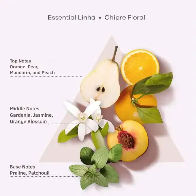 Braé Essential Hair line -Achieve a radiant hair transformation with this essential line– Buy now at MKPBR.COM – Worldwide Shipping