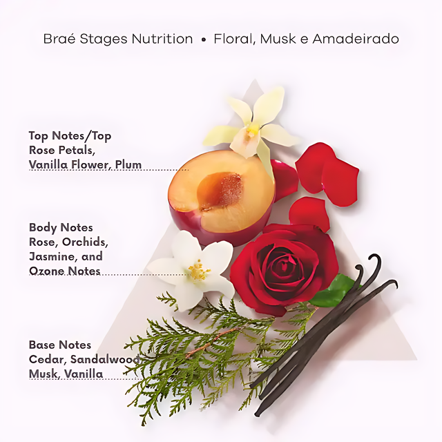 Braé Stages Nutrition Kit including 250ml Shampoo, Conditioner, and Mask for soft, shiny, and revitalized hair – Buy now at MKPBR.COM – Worldwide Shipping