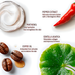 Bumbum Cream harnessing Brazilian botanicals for improved blood flow and skin balance – Buy now at MKPBR.COM – Worldwide Shipping
