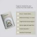 Cognion Lion's Mane Coffee for Enhanced 