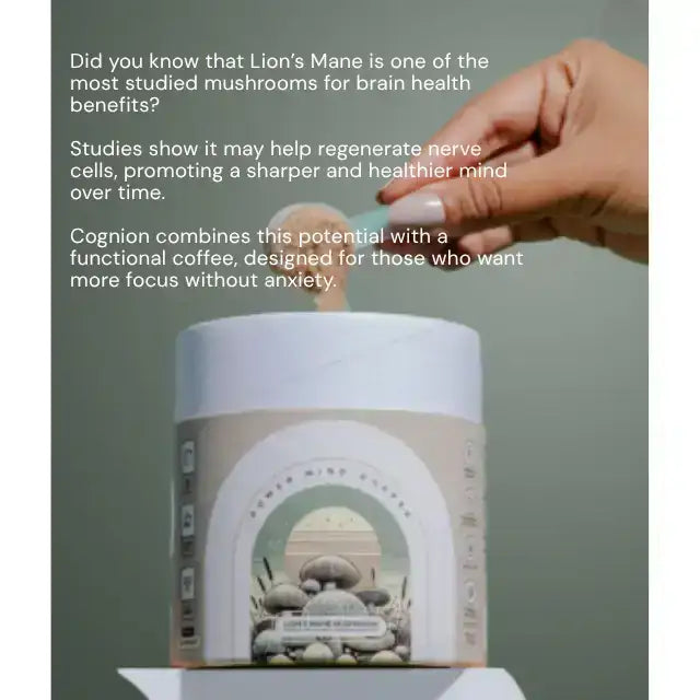 Cognion Lion's Mane Coffee for Enhanced Focus & Mental Clarity - 10.58 oz (300g) - Specialty Blend for Acuity – Buy now at MKPBR.COM – Worldwide Shipping