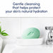 Soft foaming effect of Dove Sweet Fennel moisturizing beauty bar – Buy now at MKPBR.COM – Worldwide Shipping
