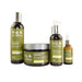 Grandha Fito Capillus Herbal Scalp Therapy Kit including shampoo mask gel and fluid front view – Buy now at MKPBR.COM – Worldwide Shipping