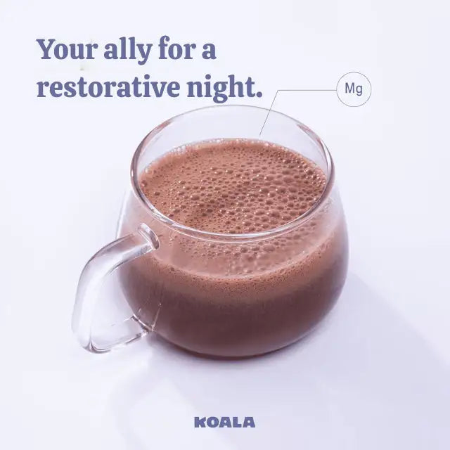 Koala Nighttime Relaxation & Recovery Powder, 16.08 oz (456g) - With Magnesium & Tryptophan for peaceful rest – Buy now at MKPBR.COM – Worldwide Shipping