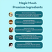 Highlighted essential ingredients for holistic well-being – Buy now at MKPBR.COM – Worldwide Shipping