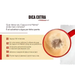 Melitta Tradicional Cappuccino premium quality – Buy now at 