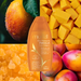 Muriel Mango with Collagen Body Oil | Supple Skin Formula | 5.07 fl oz (150ml) - View highlighting ingredient information, focusing on its skin-enhancing properties – Buy now at MKPBR.COM – Worldwide Shipping