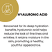 NutralFit vegan formula with Alpha-Arbutin and Vitamin E – MKPBR.COM