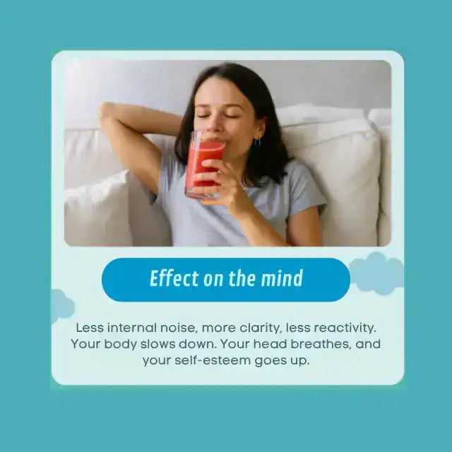 Nulle Daily Wellness Powder for Stress Management 5.29 oz (150g) – Buy now at MKPBR.COM – Worldwide Shipping