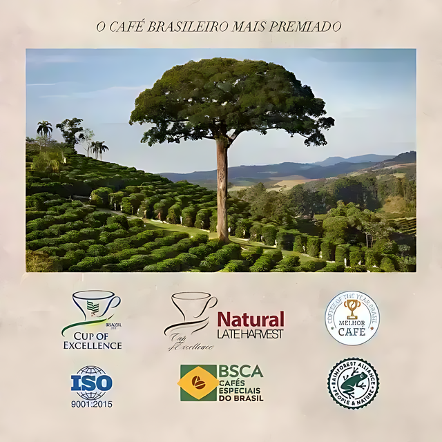 Orfeu Classic Whole Bean Coffee – 35.27 oz (1 Kg) – The awards from Orfeu Coffee, premium brazilian quality. Buy now at MKPBR.COM – Worldwide Shipping
