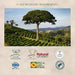 Orfeu Classic Whole Bean Coffee – 35.27 oz (1 Kg) – The awards from Orfeu Coffee, premium brazilian quality. Buy now at MKPBR.COM – Worldwide Shipping