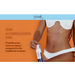 Skelt Dark Self-Tanning Water for Expert Users – 2x Intense Bronze with Hyaluronic Acid & Vitamin C + Included Skelt Tanning Mitt – 5.07 oz (150 ml) water-to-mousse texture – Buy now at MKPBR.COM – Worldwide Shipping
