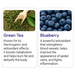 Green Tea and Blueberry in Vasiven for thermogenic, antioxidant, metabolism, and blood vessel support – MKPBR.COM