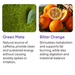 Green Mate and Bitter Orange in Vasiven for clean energy, metabolism support, and digestive aid – MKPBR.COM