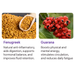 Fenugreek and Guarana in Vasiven for anti-inflammatory, hormonal support, and natural energy boost – MKPBR.COM